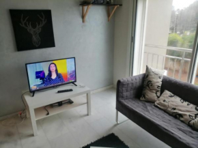 Appart 1ch Salon bien meublé